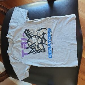 Copper unisex tshirt size 7 gray with metalic silver dinosaur